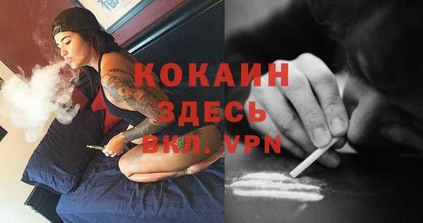 спайс Арсеньев