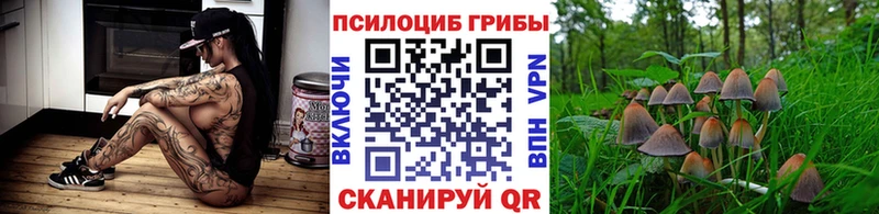 Псилоцибиновые грибы прущие грибы  Белово 