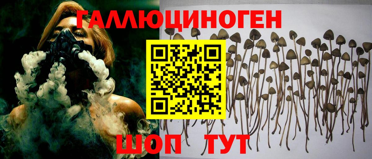 Белово  Галлюциногенные грибы мицелий  Вход с VPN  Псилоцибиновые грибы Magic Shrooms 